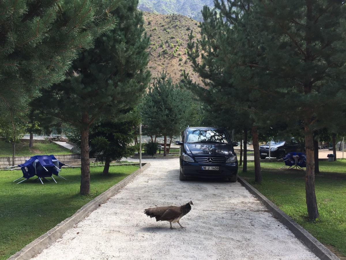 Agara Pansiyon Bostanci Exterior foto