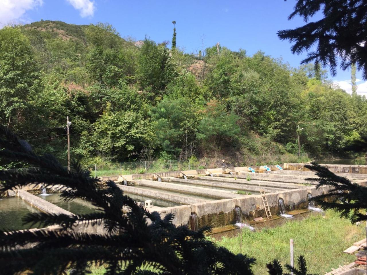 Agara Pansiyon Bostanci Exterior foto